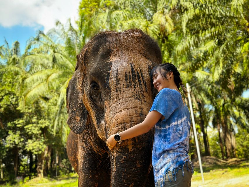 Krabi: Kayaking at Klong Nam Sai, Elephant Bathing & Feeding - Optional Experience: Klong Root