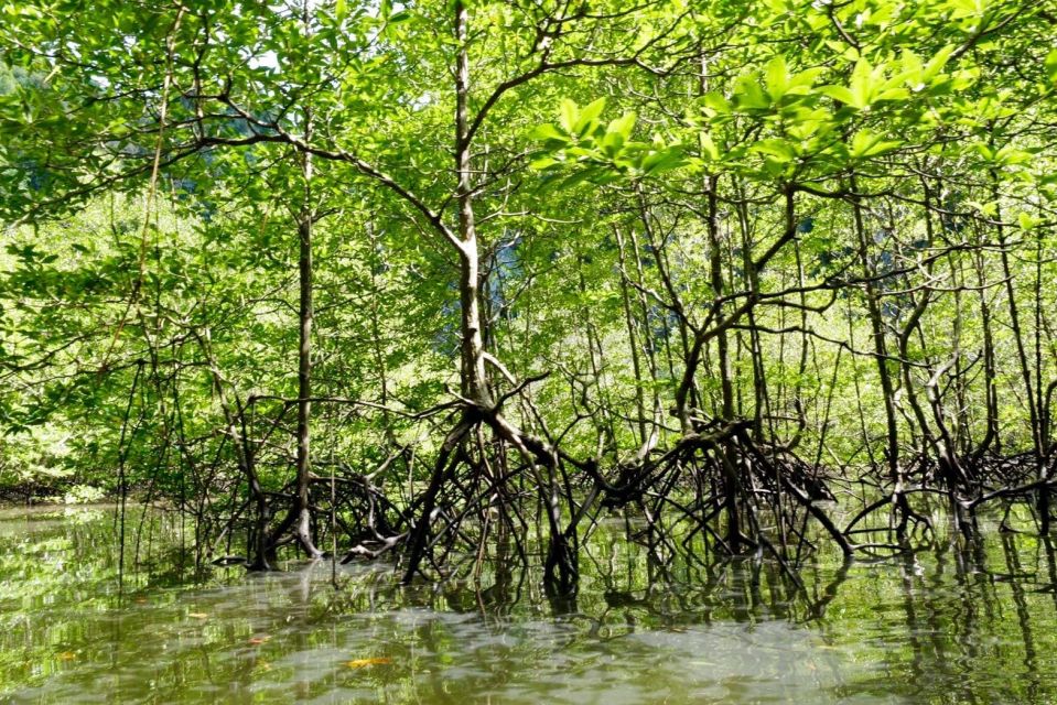 Krabi: Kayaking Tour to Ao Thueak Lagoon With Lunch - Visiting the Hidden Lagoon