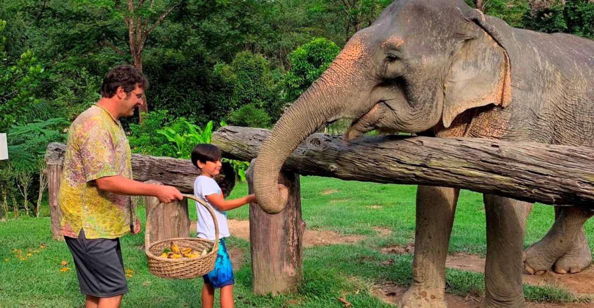 Krabi: Khao Sok Elephant Sanctuary, Rafting Tour, and Lunch - Khao Sok Elephant Sanctuary Visit