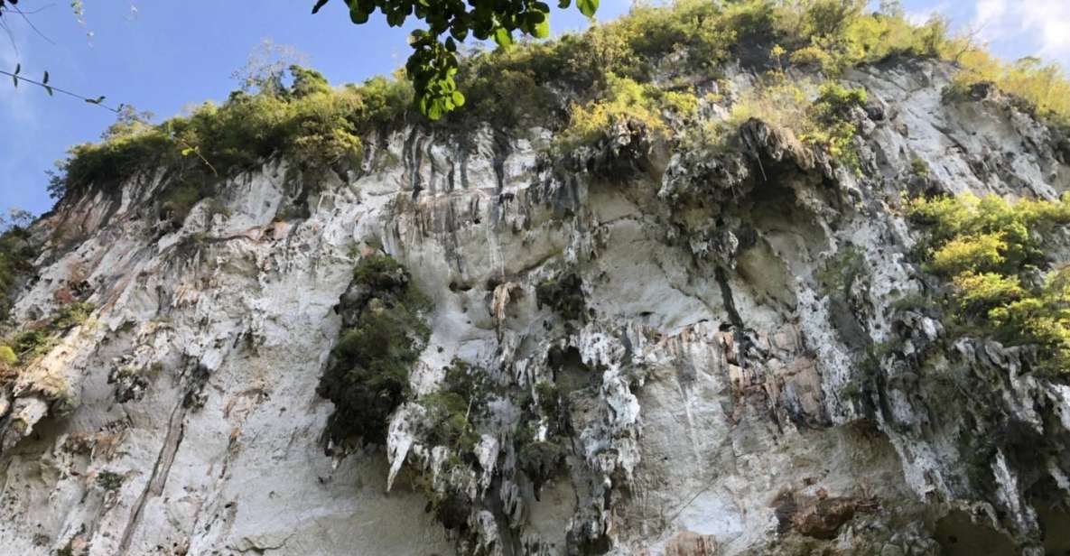 Krabi: Khaosok Jungle Walk, Bamboo Rafting, or Canoeing Tour - Highlights of the Tour