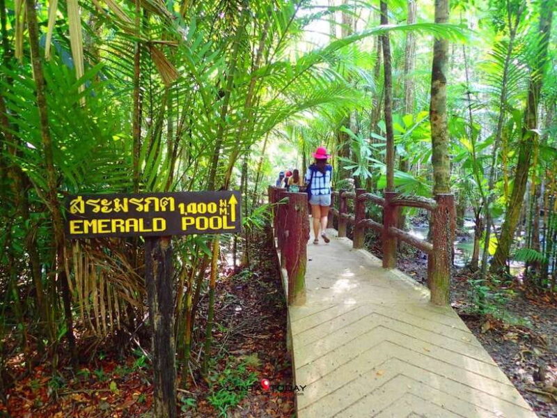 Krabi: Klongtom Hot Spring, Emerald Pool and Tiger Cave Tour - Klongtom Hot Springs