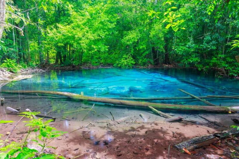 Krabi: Klongtom Hot Spring, Emerald Pool and Tiger Cave Tour - Tiger Cave Temple (Wat Tham Suea)