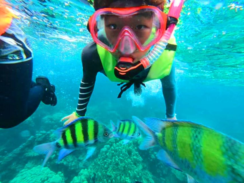 Krabi: Koh Rok & Koh Haa Hidden Snorkeling Tour by Speedboat - Detailed Itinerary