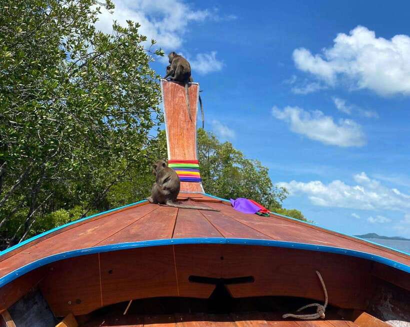 Krabi: Mangroves and Khao Kanab Nam Cave Tour With Lunch - Frequently Asked Questions