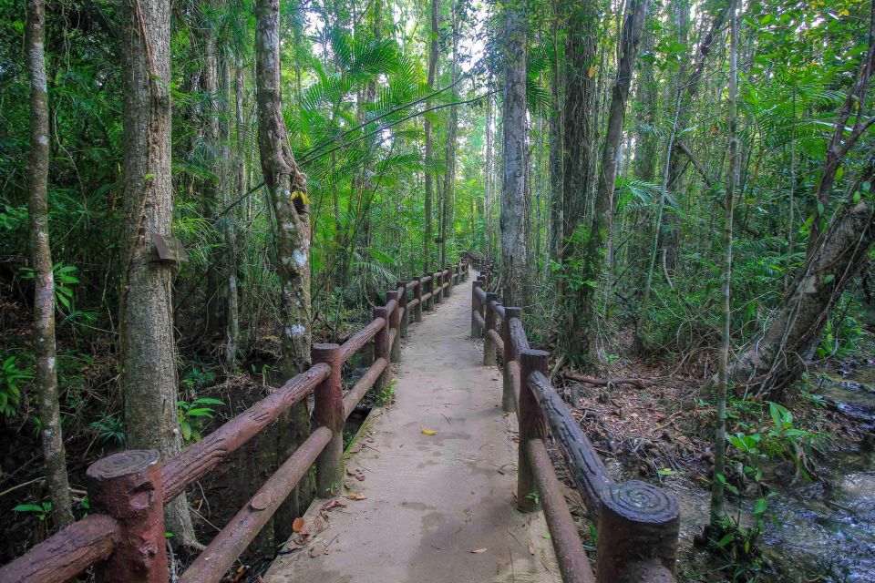 Krabi Outback Explorer With Thrilling ATV Ride - Rainforest Exploration