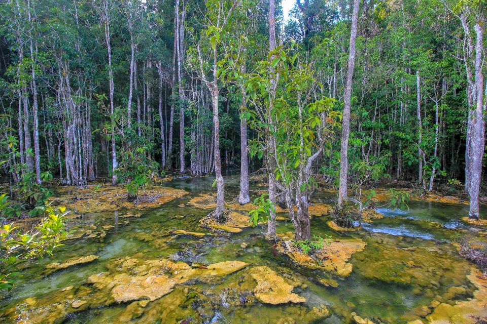 Krabi Outback Explorer With Visit of Tiger Cave Temple - Wareerak Hot Spring Retreat