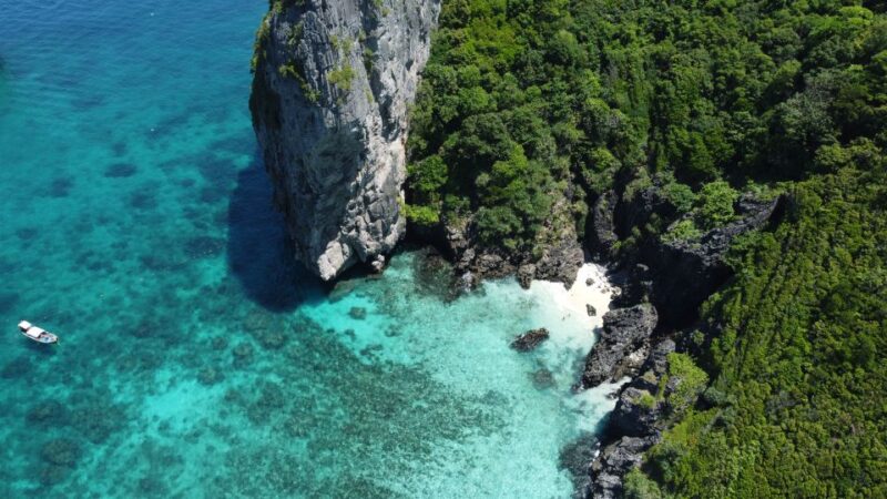 Krabi: Phi Phi Islands Speedboat Tour With Buffet Lunch - Key Points