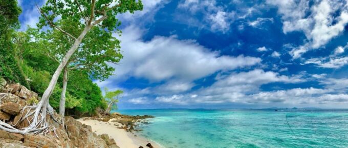 Krabi: Phi Phi Islands Speedboat Tour With Buffet Lunch - Frequently Asked Questions