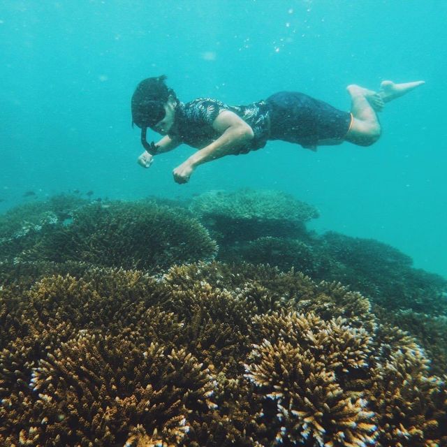 Krabi: Phi Phi Islands Speedboat Tour With Buffet Lunch - Additional Tour Details