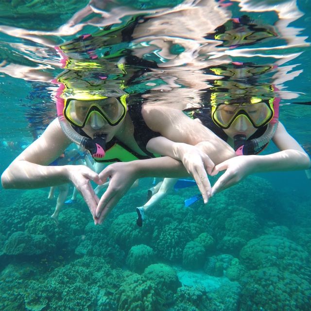 Krabi: Phi Phi Islands Speedboat Tour With Buffet Lunch - About Maya Bay Closure