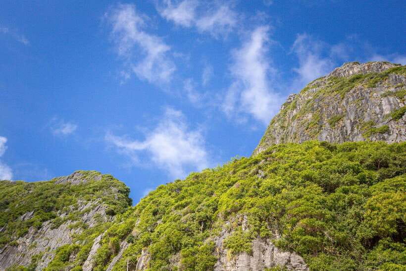 Krabi: Phi Phi Luxury Private Longtail Boat Tour - Important Information for Participants