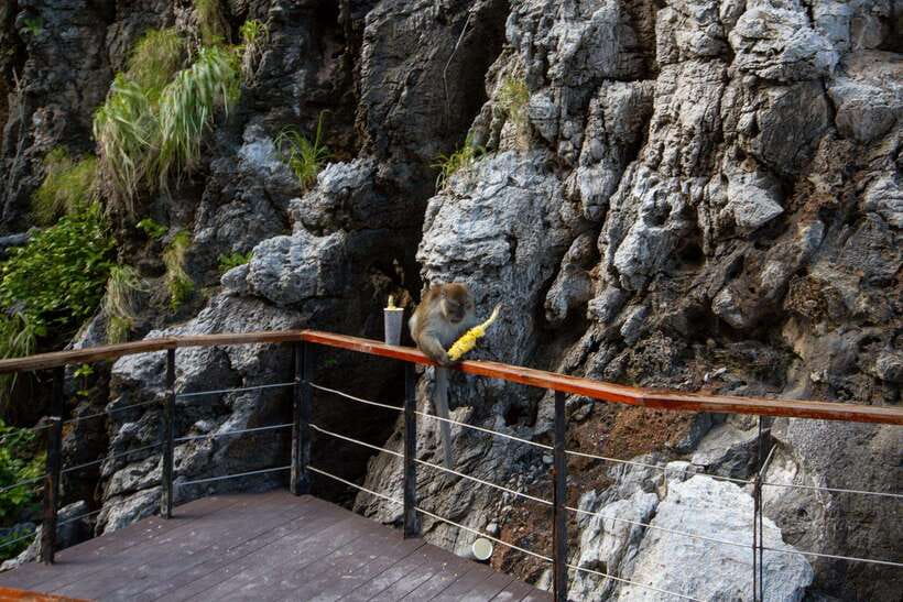 Krabi: Phi Phi Luxury Private Longtail Boat Tour - Accessibility and Transportation