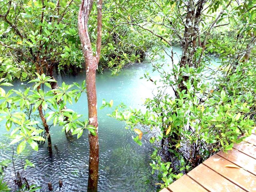 Krabi: Private Trip to Tiger Cave Temple & Waterfall - Key Points