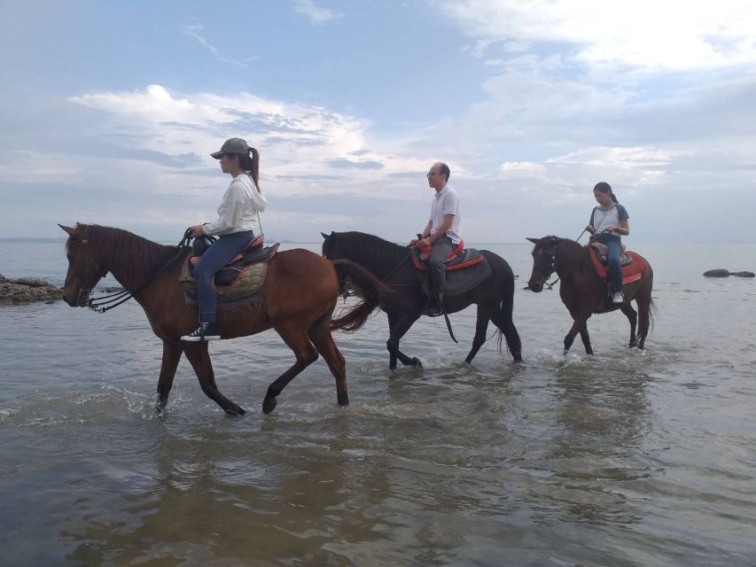 Krabi Province: City Tour With 1-Hour Beach Horse Ride - Pickup and Drop-off Locations