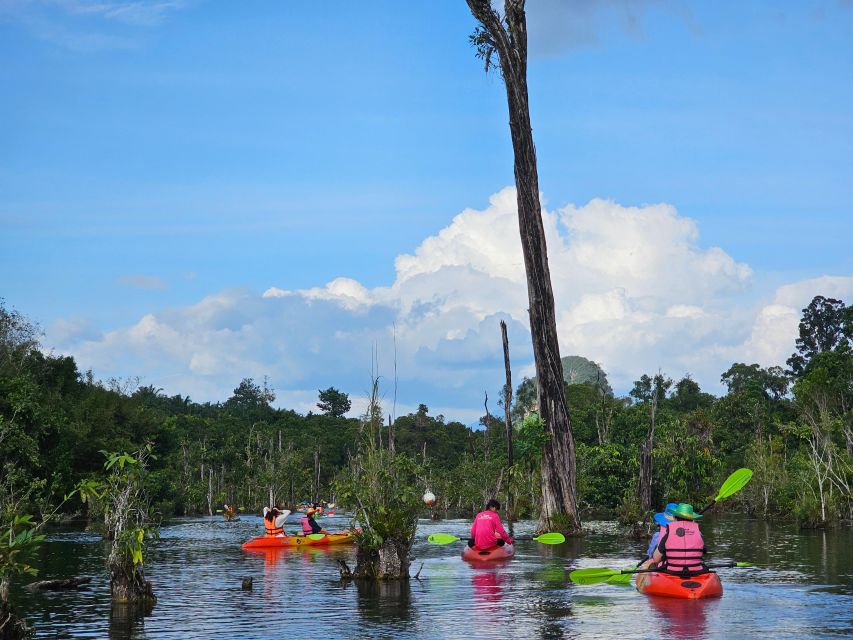Krabi: South Kayak Klong Root Kayaking Tour - Key Points