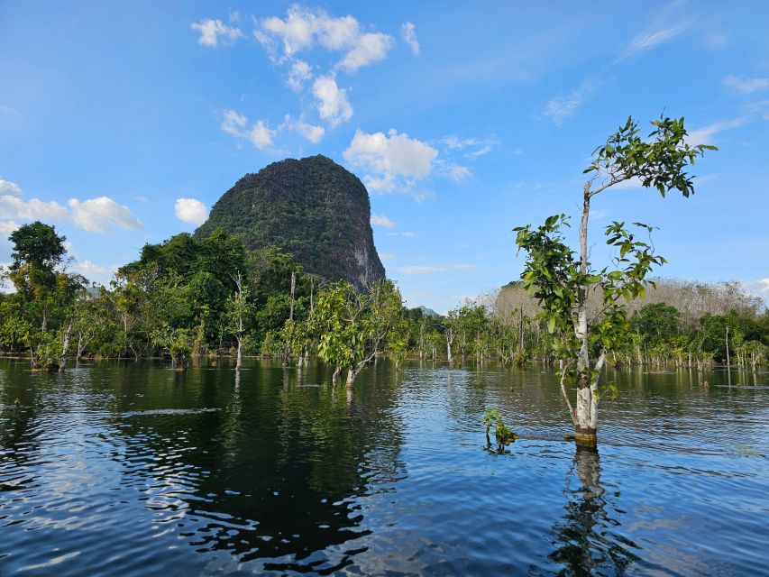 Krabi: South Kayak Klong Root Kayaking Tour - Duration and Pricing