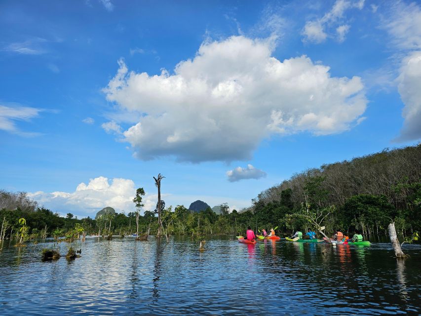 Krabi: South Kayak Klong Root Kayaking Tour - Kayaking Experience