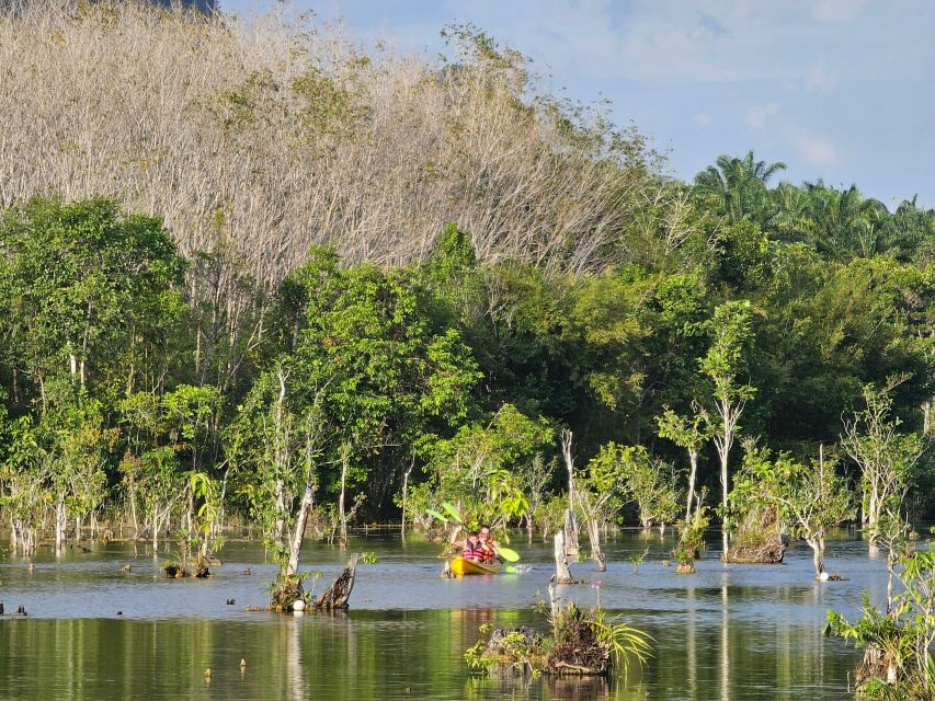 Krabi: South Kayak Klong Root Kayaking Tour - Included and Excluded