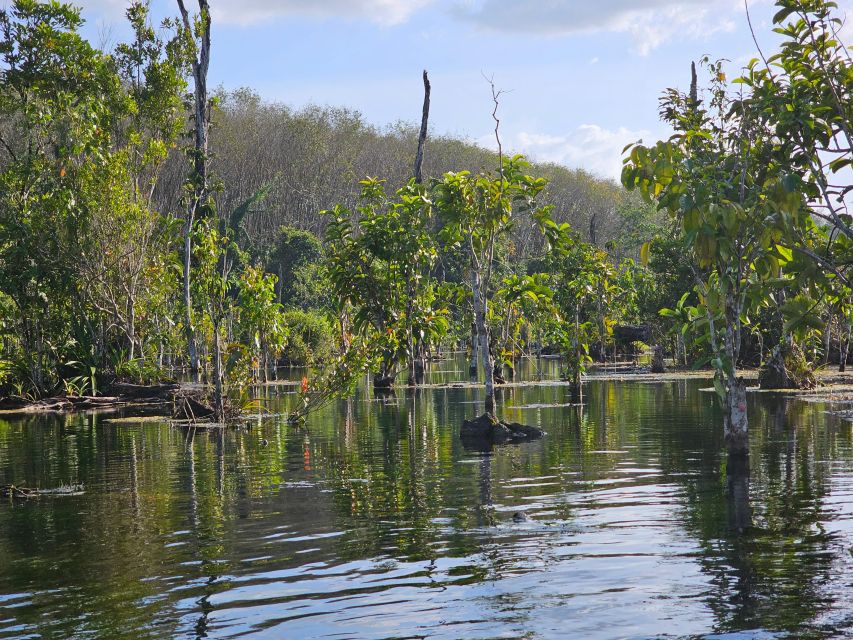 Krabi: South Kayak Klong Root Kayaking Tour - Meeting Point and Transfers