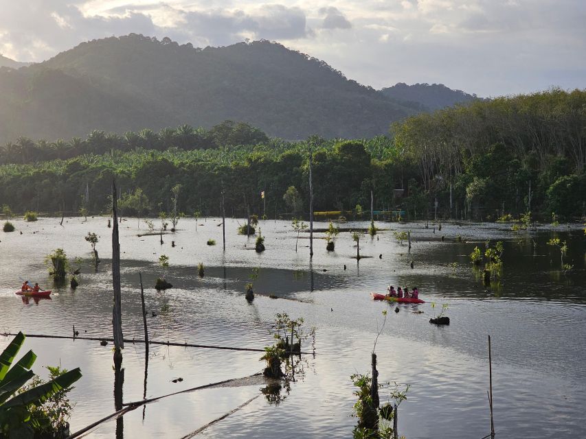 Krabi: South Kayak Klong Root Kayaking Tour - Suitability and Restrictions