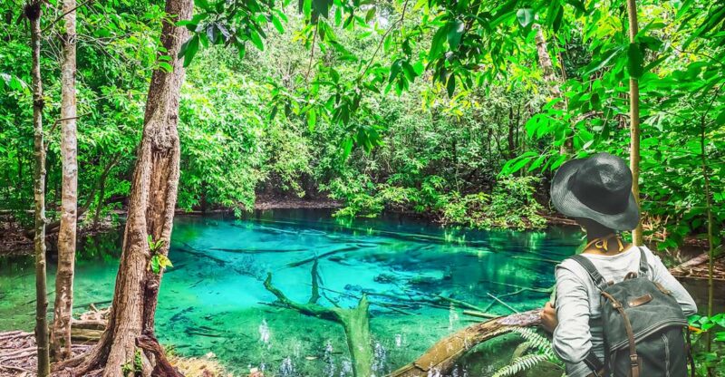 Krabi: Tiger Cave Temple, Emerald Pool and Hot Springs Tour - Itinerary Highlights