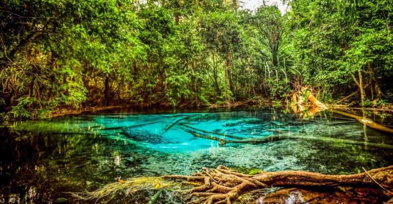 Krabi: Tiger Cave Temple, Emerald Pool and Hot Springs Tour - Exploring the Emerald Pool