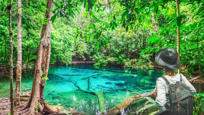 Krabi: Tiger Cave Temple, Emerald Pool and Hot Springs Tour - Sustainable Practices and Customer Reviews