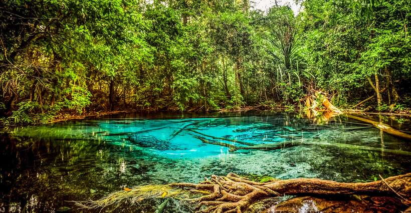 Krabi: Tiger Cave Temple, Emerald Pool and Hot Springs Tour - Tiger Cave Temple Adventure