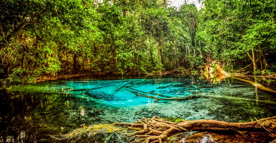 Krabi: Tiger Cave Temple, Emerald Pool and Hot Springs Tour - Highlights of the Tour