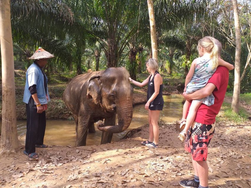 Krabi: Tour of Elephant Care House and Tiger Cave Temple - Pricing and Booking