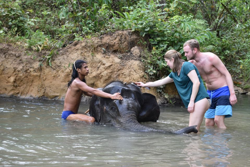 Krabi: Tour of Elephant Care House and Tiger Cave Temple - Pickup and Transportation