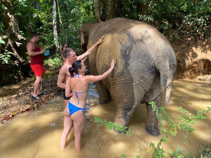 Krabi: Tour of Elephant Care House and Tiger Cave Temple - Elephant Care House