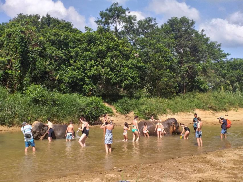Krabi: Tour of Elephant Care House and Tiger Cave Temple - Elephant Bathing and Feeding