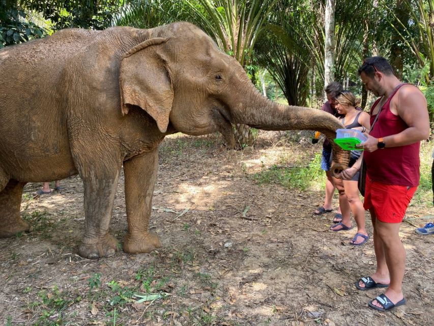 Krabi: Tour of Elephant Care House and Tiger Cave Temple - Panoramic Views