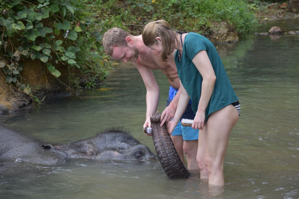 Krabi: Tour of Elephant Care House and Tiger Cave Temple - Additional Information