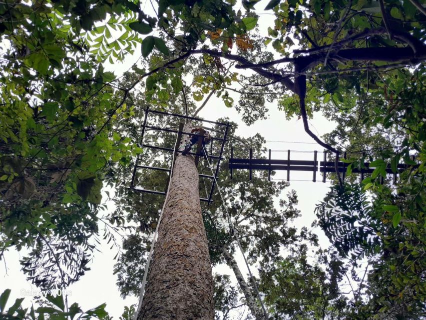 KRABI Zipline & Canopy TreeTop Walk - Thai Bio-diversity Observing