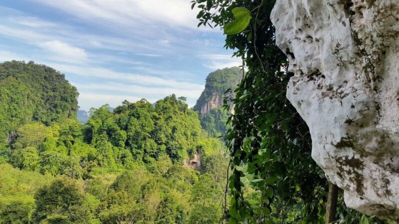 Krabi: Ziplining With Abseiling and Rock Climbing Options - Zip-line Adventure