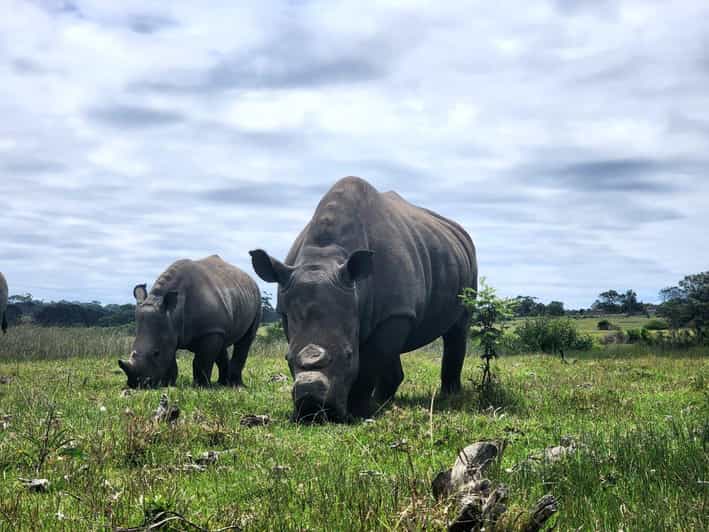 Kragga Kamma Game Park Half Day Safari - Good To Know