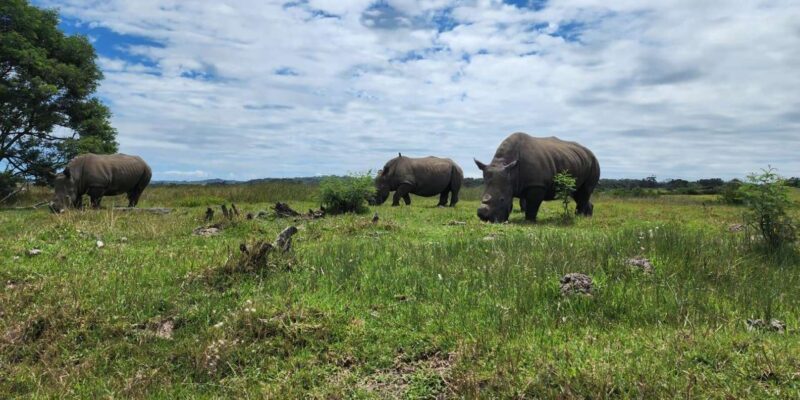 Kragga Kamma Game Park Half Day Safari - What to Bring