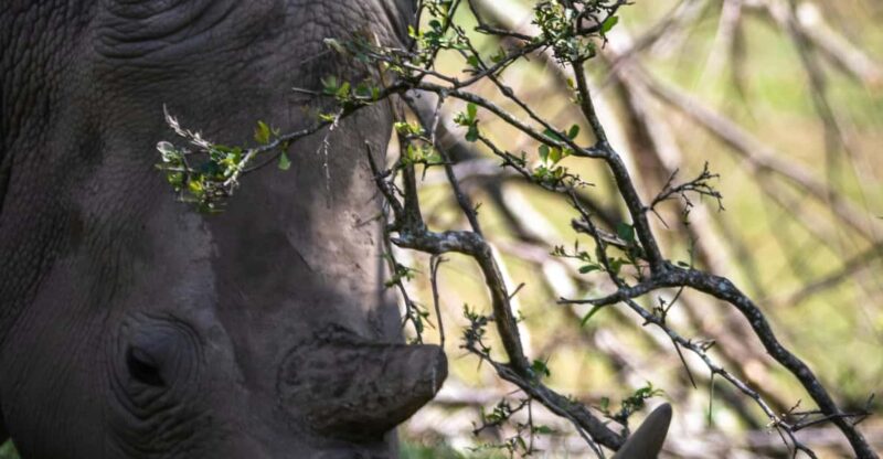 KRAGGA KAMMA GAME PARK - Good To Know
