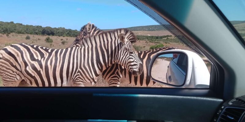 KRAGGA KAMMA GAME PARK - Park Policies and Features