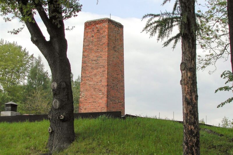 Krakow: Auschwitz-Birkenau Day Trip with Tour Leader - Transport and Logistics