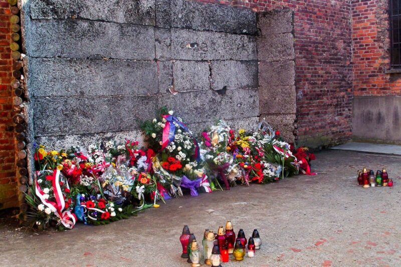 Krakow: Auschwitz-Birkenau Day Trip with Tour Leader - Who This Tour Is Best For