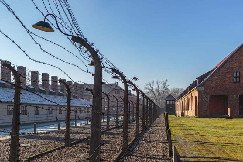 Krakow: Auschwitz-Birkenau Entry Ticket and Transfer - What to Expect on Your Day Trip