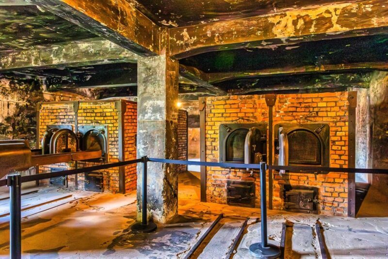 Krakow: Auschwitz-Birkenau Guided Tour and Private Transport - The Practical Side  