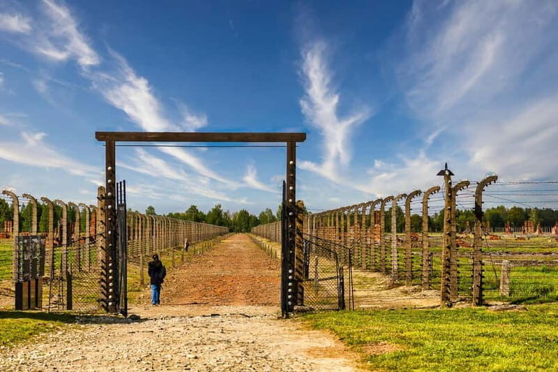 Krakow: Auschwitz-Birkenau Tour With Transport - Key Points
