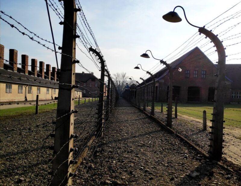 Krakow: Auschwitz-Birkenau & Wieliczka Salt Mine with Lunch - Who Will Appreciate This Tour?
