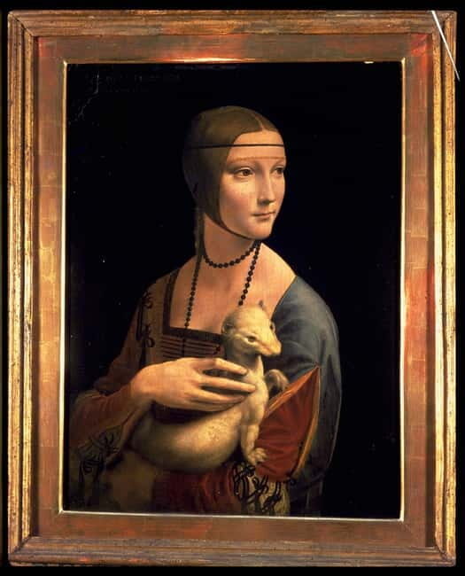 Krakow: Digital Museum Pass with 35 Museums and Attractions - Key Points