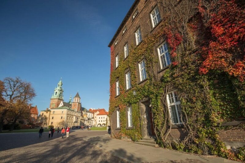 Krakow: Guided Rynek Underground & Wawel Castle, Cathedral - Who Will Appreciate This Tour?