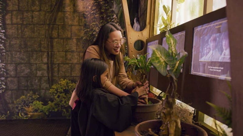 Krakow: Harry Potter Exhibition- Ticket and Transportation - Who Will Love This Tour?